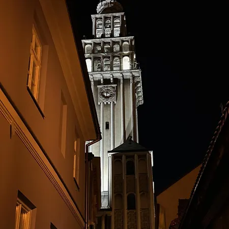 Apartmán Szyndzielnia Nowe Biznesowe Idealna Przestrzen Do Pracy I Odpoczynku & Parking - Workation - Bussiness Travel - Work&stay - Single Trip - Corporation - Office - Delegacja - Sluzbowo Bílsko-Bělá