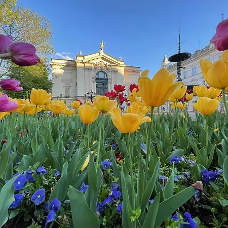 Apartmán Szyndzielnia Nowe Biznesowe Idealna Przestrzen Do Pracy I Odpoczynku & Parking - Workation - Bussiness Travel - Single Trip - Office - Delegacja - Sluzbowo *