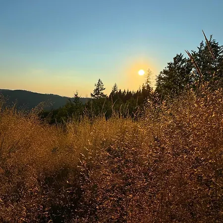 Szyndzielnia Nowe Biznesowe Idealna Przestrzen Do Pracy I Odpoczynku & Parking - Workation - Bussiness Travel - Work&stay - Single Trip - Corporation - Office - Delegacja - Sluzbowo Apartmán Bílsko-Bělá