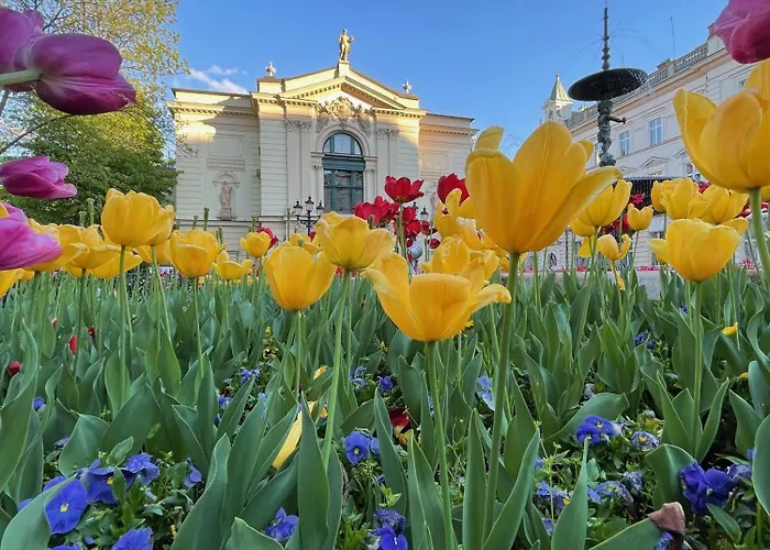 Apartament Szyndzielnia Nowe Biznesowe Idealna Przestrzeń Do Pracy I Odpoczynku&parking - Workation - Bussiness Travel - Work&stay - Single Trip - Corporation - Office - Delegacja - Służbowo *