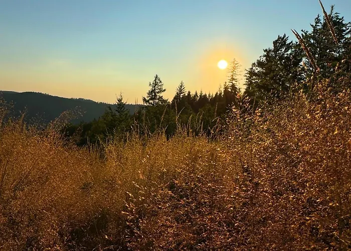 Szyndzielnia Nowe Biznesowe Idealna Przestrzen Do Pracy I Odpoczynku & Parking - Workation - Bussiness Travel - Single Trip - Office - Delegacja - Sluzbowo Apartmán Bílsko-Bělá