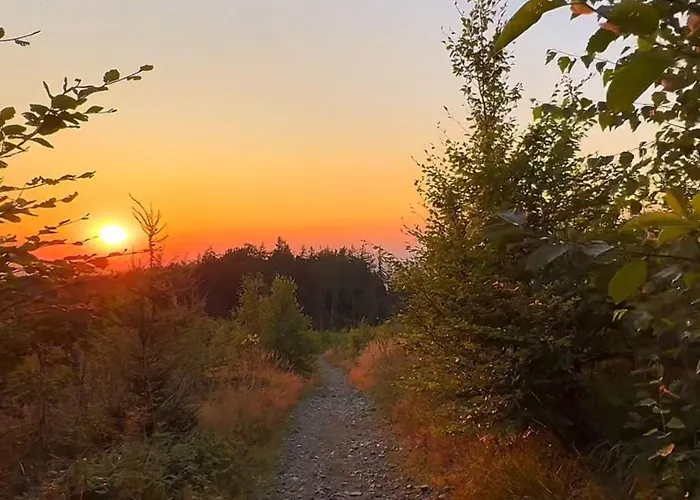 Szyndzielnia Nowe Biznesowe Idealna Przestrzeń Do Pracy I Odpoczynku&parking - Workation - Bussiness Travel - Work&stay - Single Trip - Corporation - Office - Delegacja - Służbowo *