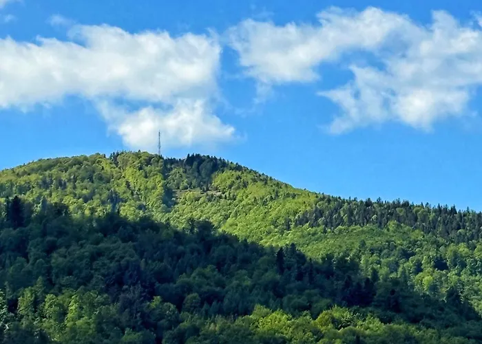 Apartament Szyndzielnia Nowe Biznesowe Idealna Przestrzeń Do Pracy I Odpoczynku&parking - Workation - Bussiness Travel - Work&stay - Single Trip - Corporation - Office - Delegacja - Służbowo Bielsko-Biała